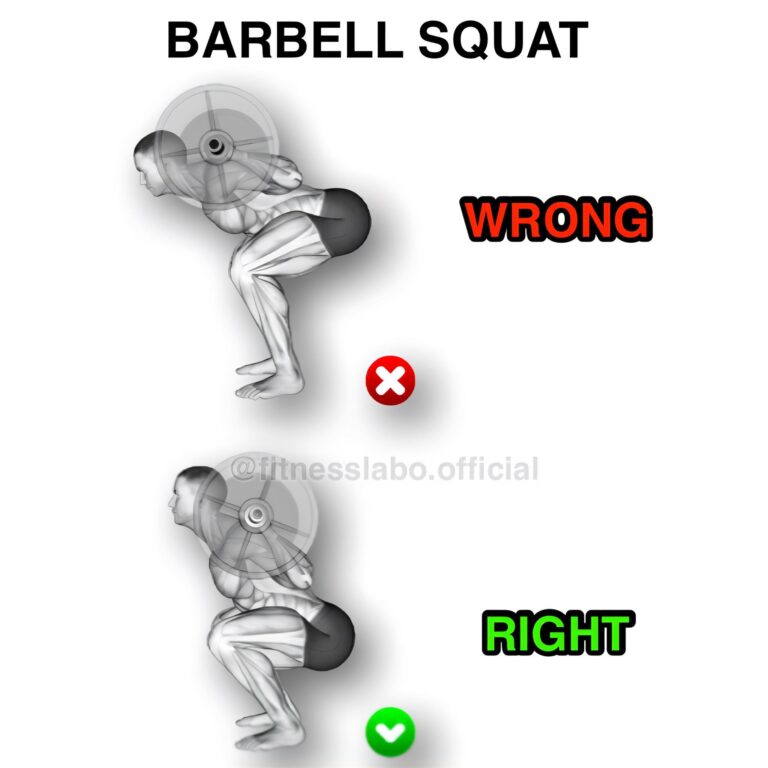 Barbell Squat